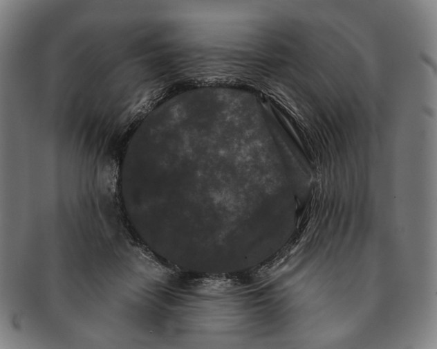 X0000090990458200708301316