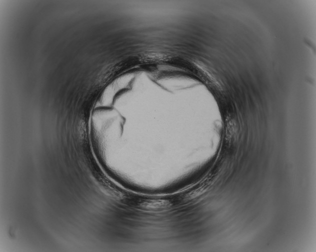 X0000090990459200708301316