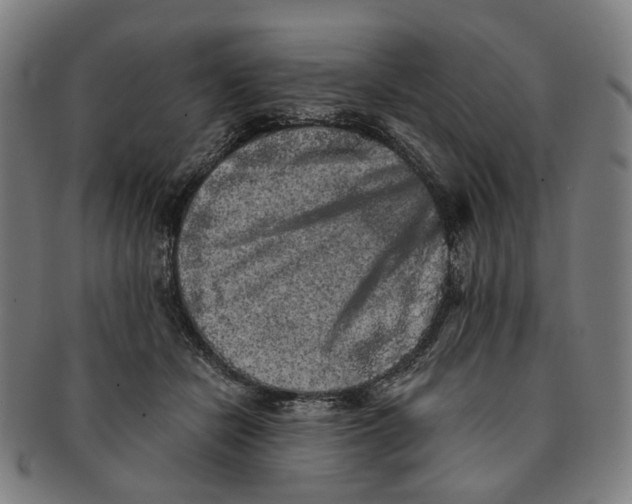 X0000090990462200708301316