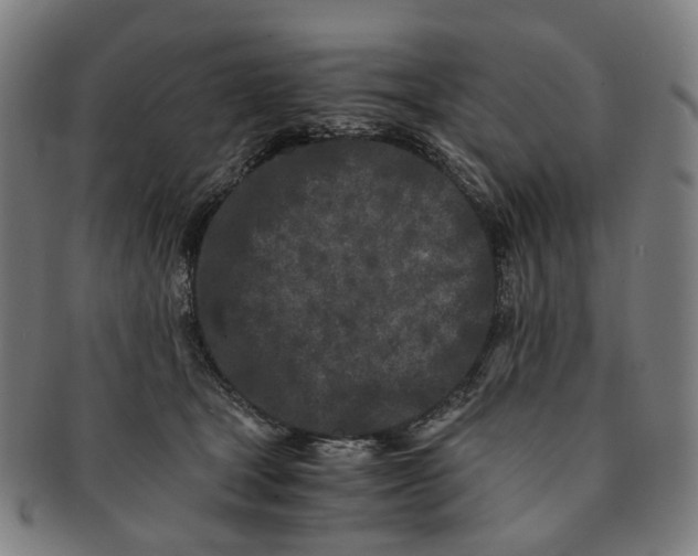 X0000090990465200708301316