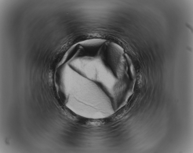 X0000090990466200708301316