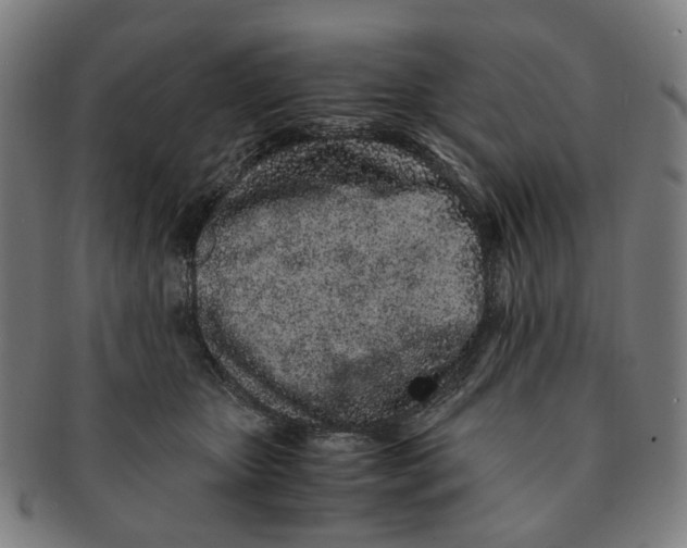 X0000090990467200708301316