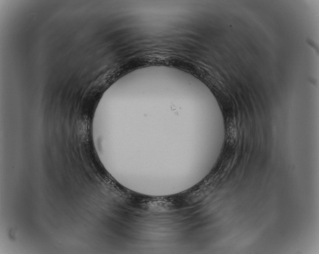 X0000090990468200708301316