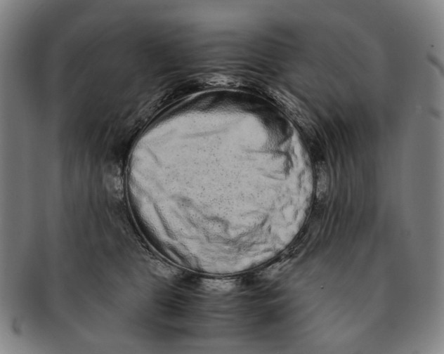 X0000090990469200708301316