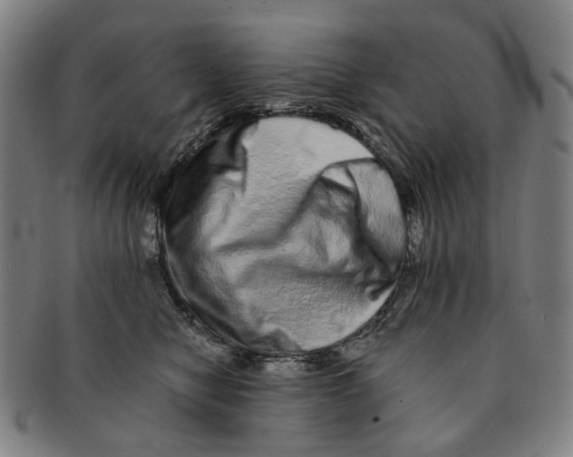 X0000090990470200708301316