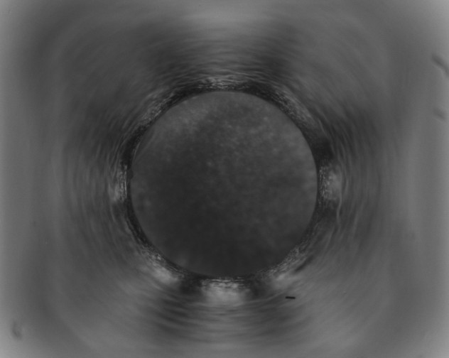 X0000090990471200708301316