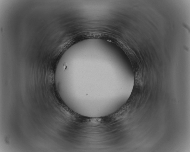 X0000090990474200708301316