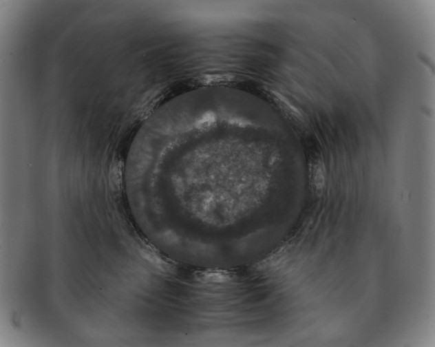 X0000090990475200708301316