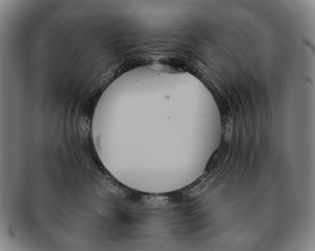 X0000090990476200708301316