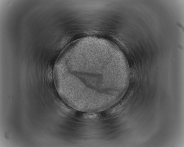 X0000090990479200708301316