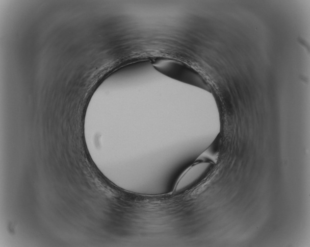 X0000090990481200708301315