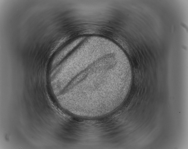 X0000090990482200708301315