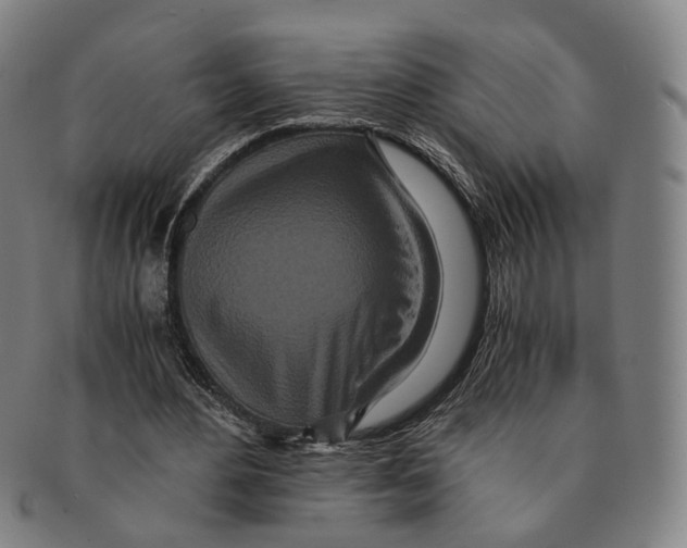 X0000090990484200708301315