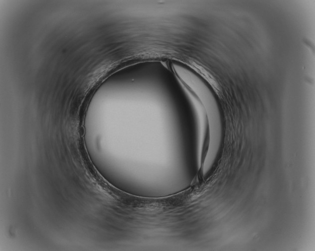 X0000090990485200708301315