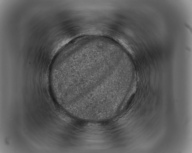 X0000090990487200708301315