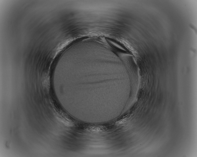 X0000090990488200708301315