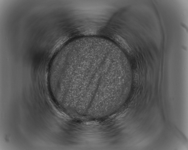 X0000090990491200708301315