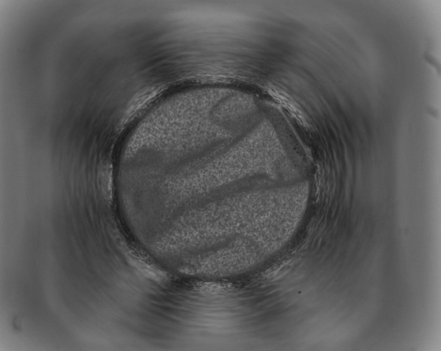 X0000090990494200708301315