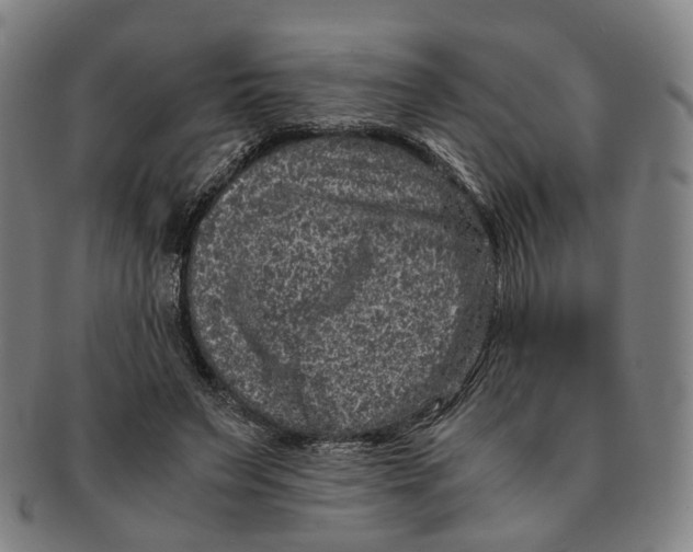 X0000090990495200708301315