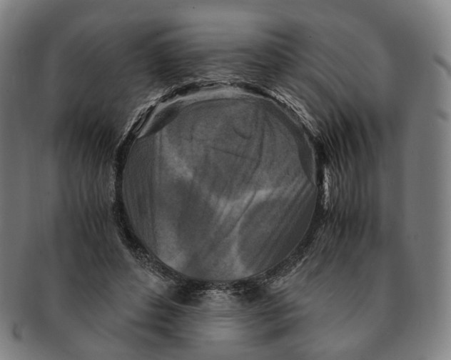 X0000090990496200708301315