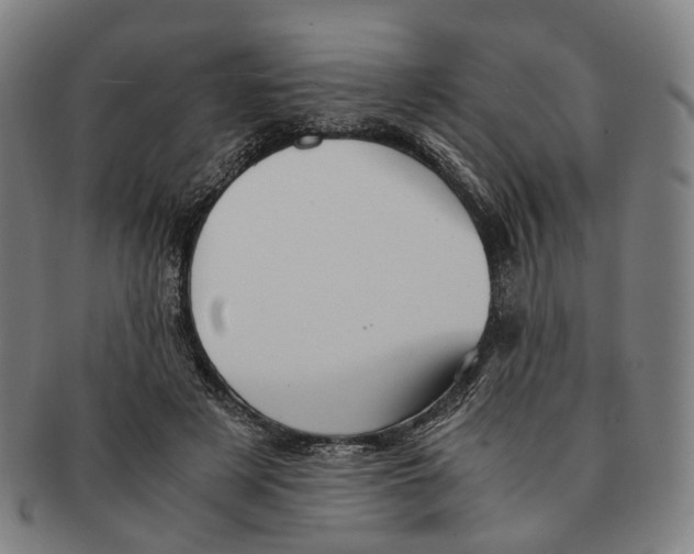 X0000090990497200708301315