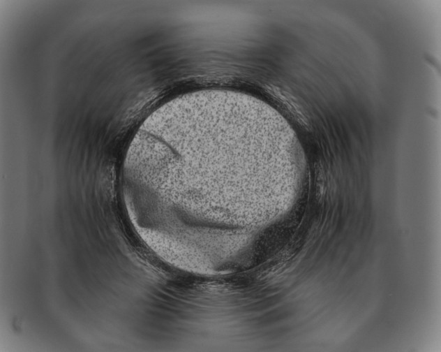 X0000090990498200708301315