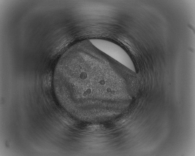 X0000090990499200708301315