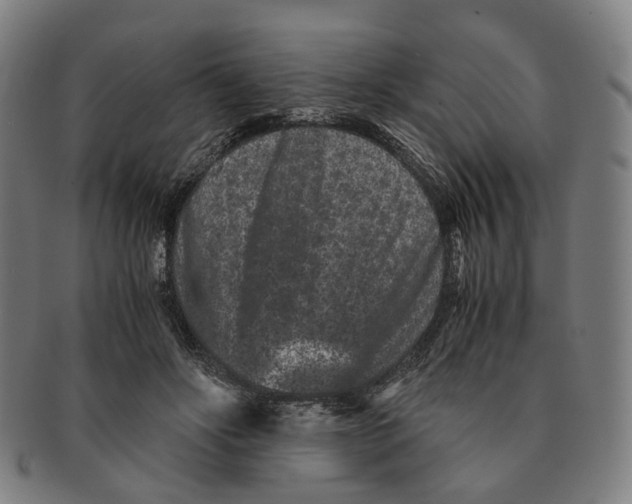 X0000090990502200708301315