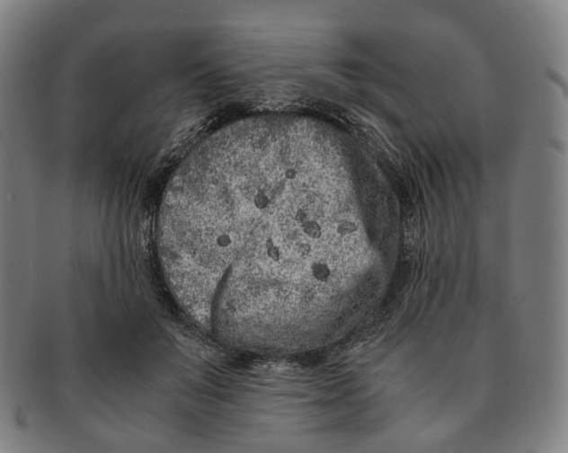 X0000090990503200708301315