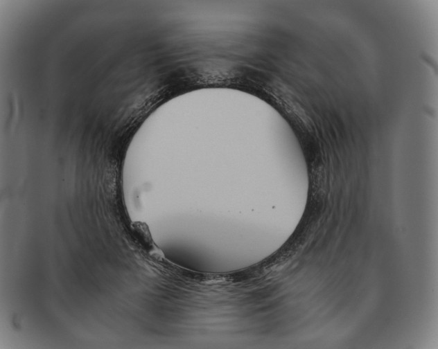 X0000090990505200708301315