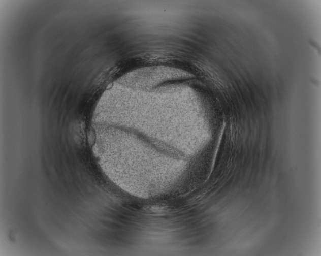 X0000090990506200708301315