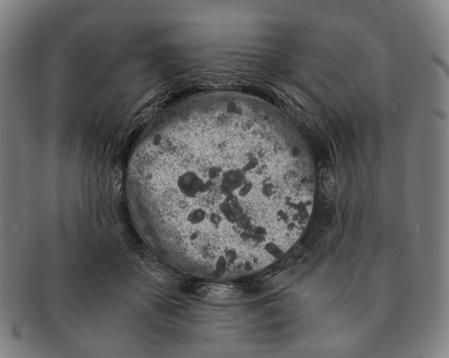 X0000090990507200708301315