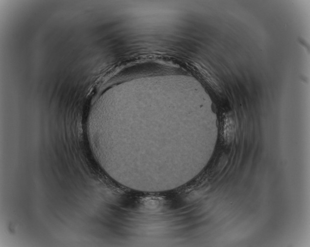 X0000090990508200708301315