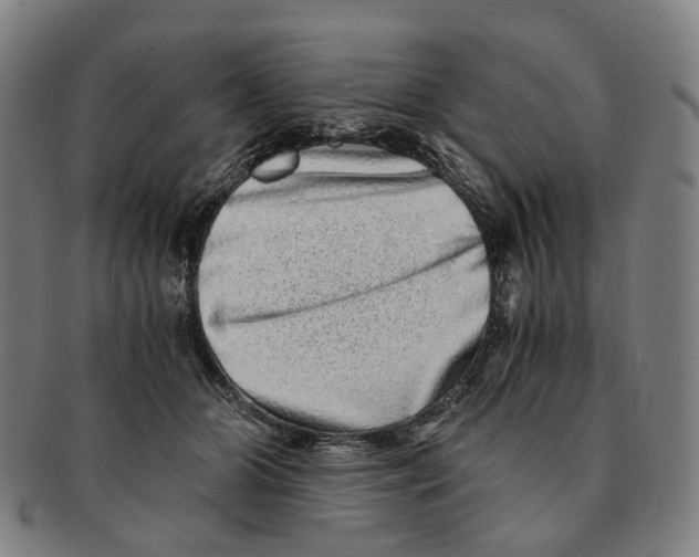 X0000090990510200708301315