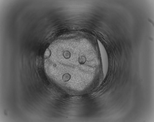 X0000090990511200708301315