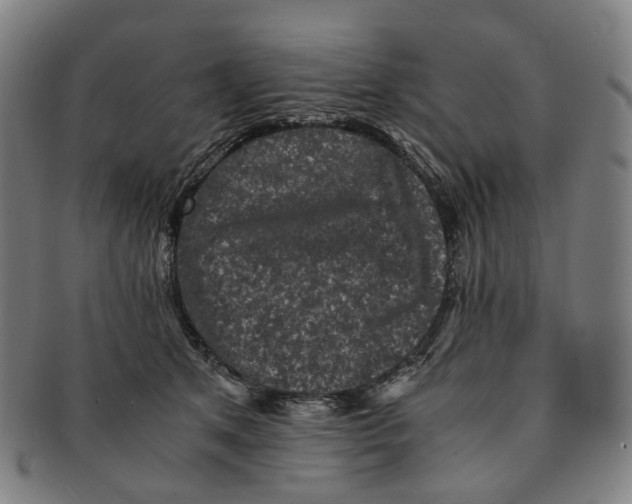 X0000090990513200708301315