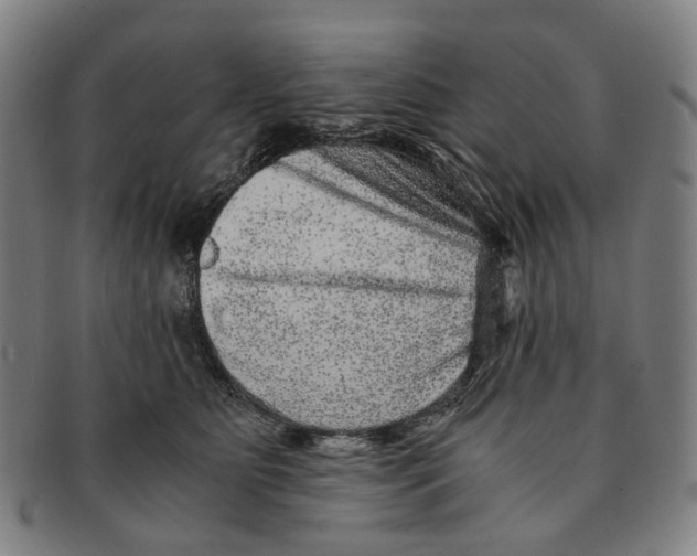 X0000090990515200708301315