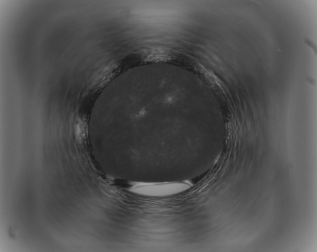 X0000090990517200708301315