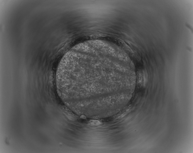 X0000090990519200708301315