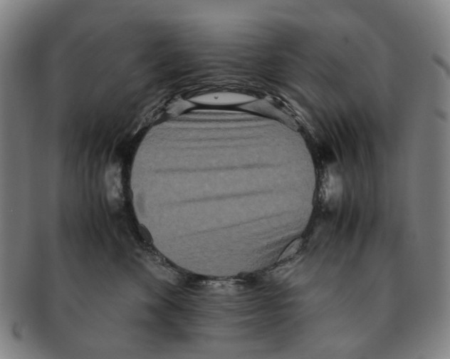 X0000090990524200708301315