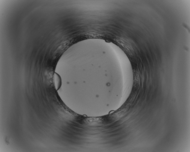 X0000090990526200708301315