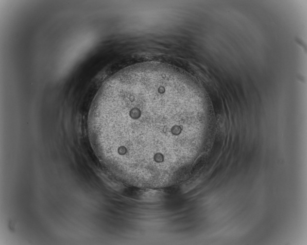 X0000090990527200708301315