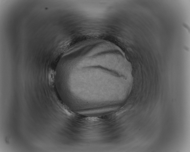 X0000090990528200708301315