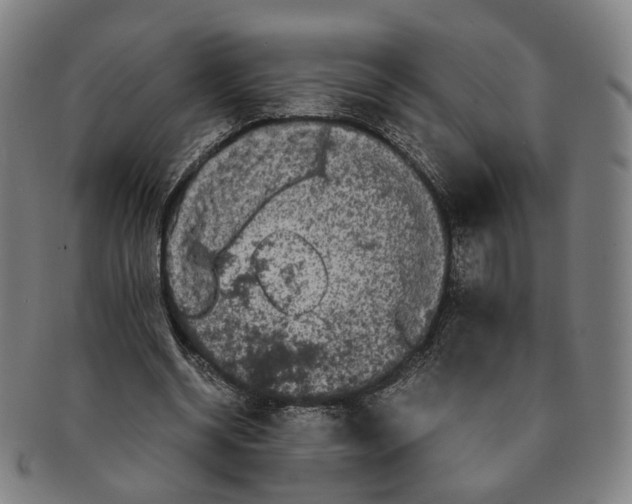 X0000090990534200708301314