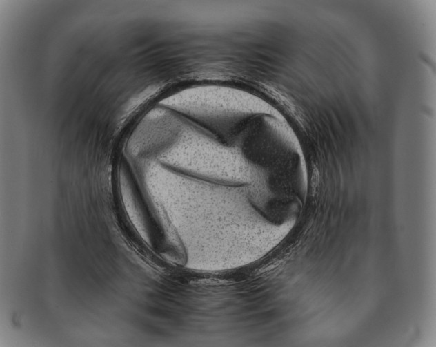 X0000090990535200708301314