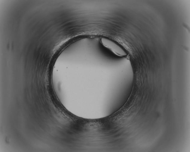 X0000090990536200708301314