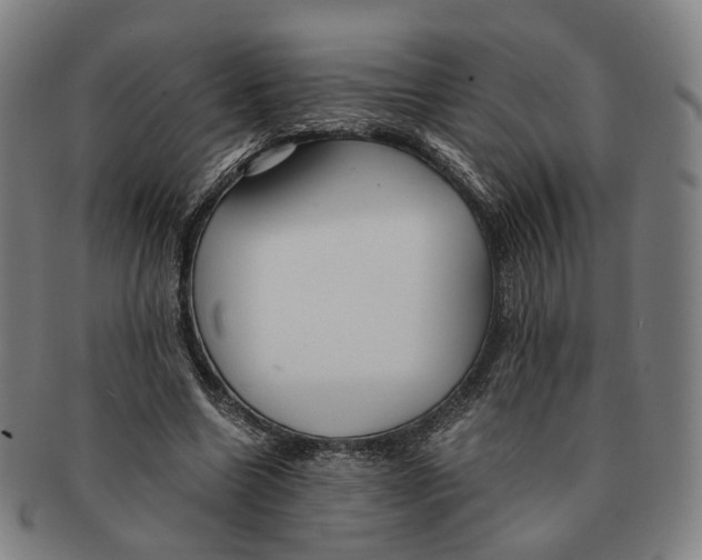 X0000090990538200708301314