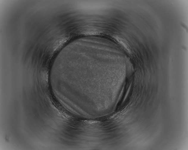 X0000090990539200708301314