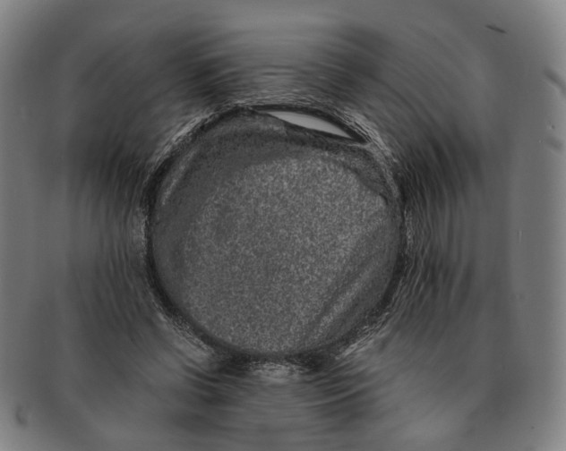 X0000090990542200708301314