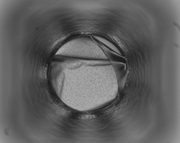 X0000090990543200708301314